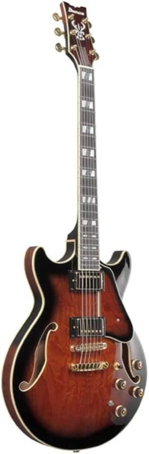 Ibanez AM Artstar 6 String Electric Guitar (Right Hand, Dark Brown Sunburst) with Hardshell Case