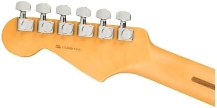 Fender American Professional II Stratocaster - Roasted Pine with Maple Fingerboard