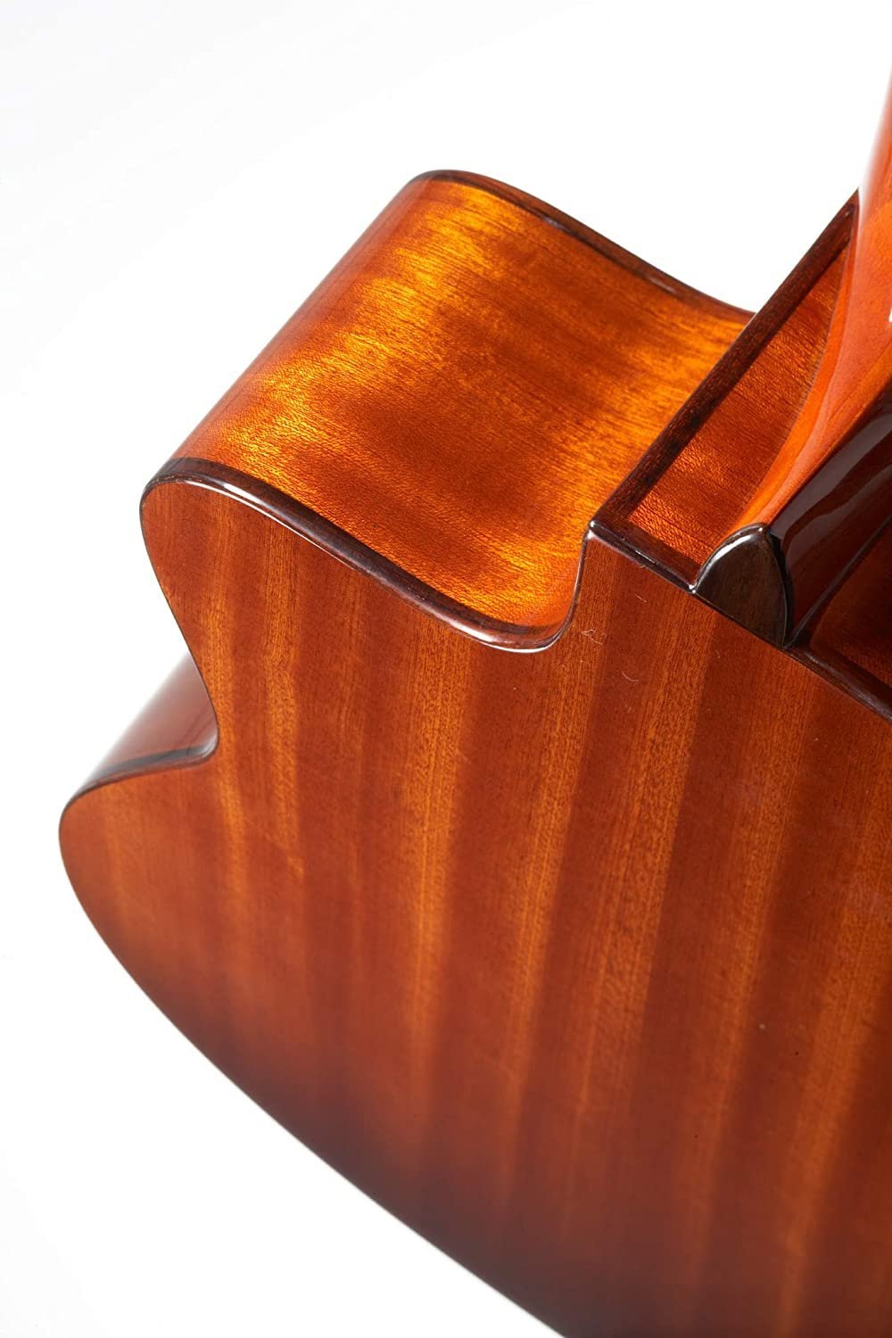 Cordoba C5-CE CD Classical Cutaway Acoustic-Electric Nylon String Guitar