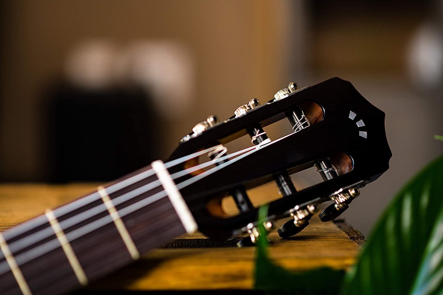 Cordoba Fusion 5 Sonata Burst Acoustic-Electric Cutaway Nylon String Guitar, Fusion Series