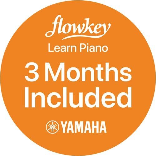 Yamaha NP12 61-Key Lightweight Portable Keyboard with PA130 Power Adapter, Black