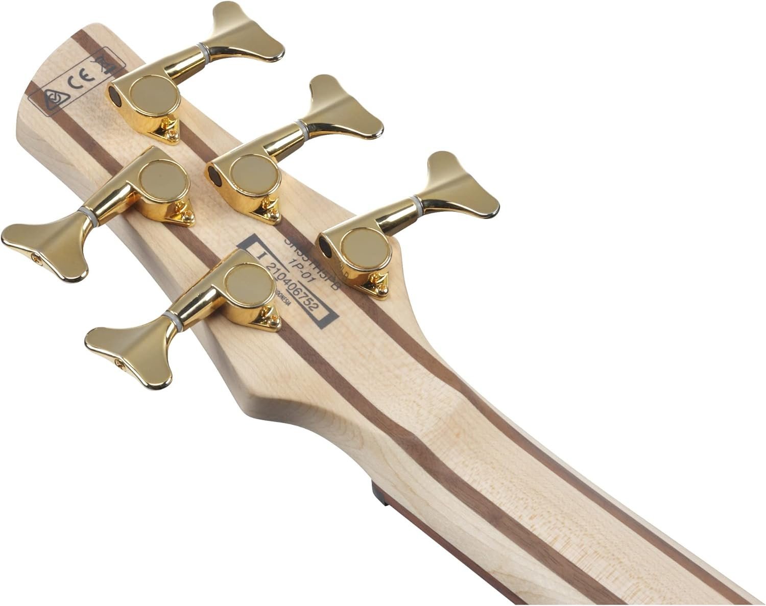 Ibanez SR405EPBDX Standard 5-String Bass Tropical Seafloor Burst