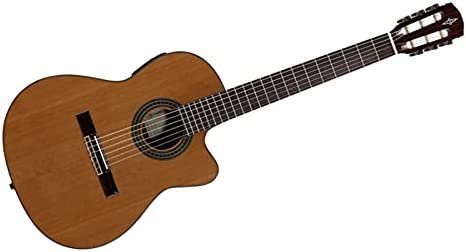 Alvarez AC65HCE Acoustic-Electric Guitar