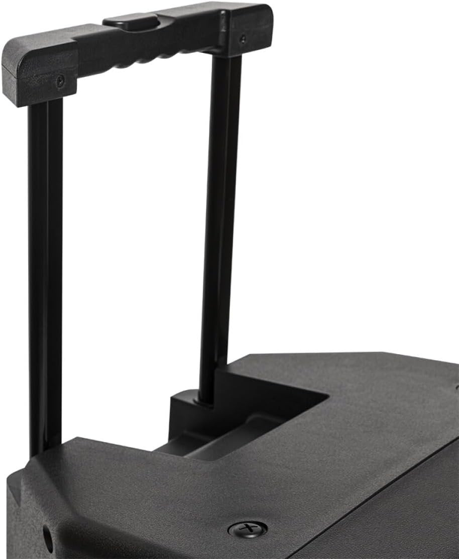 Stagg Powered Speaker Cabinet (AS15B US)