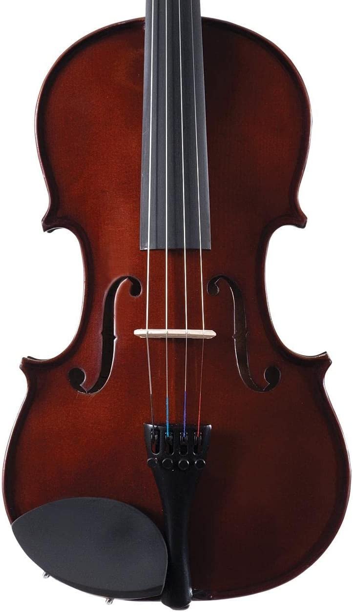Palatino VN-450 Allegro Violin Outfit, 1/2 Size