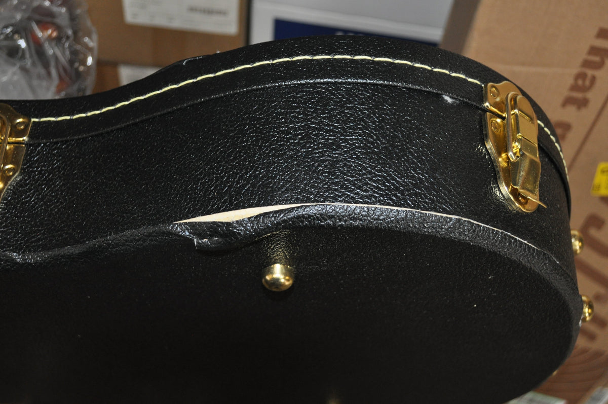 Fender Gretsch G6238FT Electromatic Solid Body Guitar Case