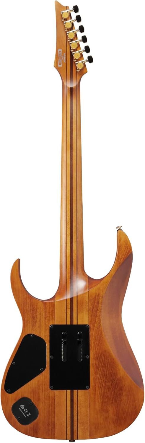 Ibanez Premium RGT1220PB Electric Guitar - Antique Brown Stained EAN: 4549763308849