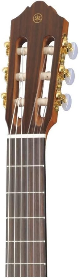 Yamaha CG122MSH Classical Guitar, Solid Spruce Top