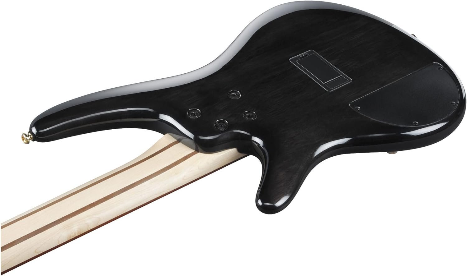 Ibanez SR405EPBDX Standard 5-String Bass Tropical Seafloor Burst