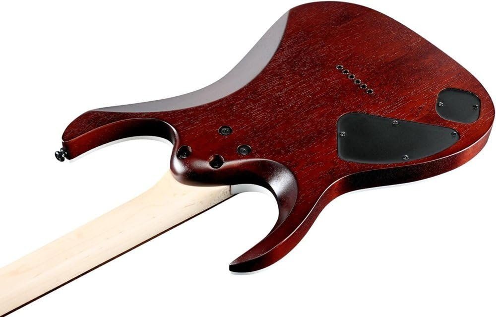 Ibanez RGA42FM Elec Gtr Dragon Eye Burst Flat