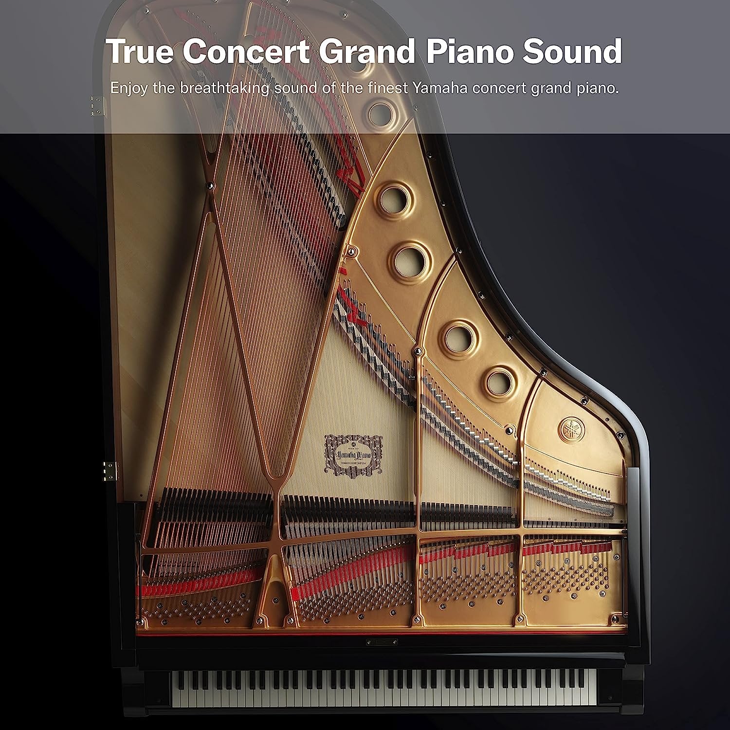 Yamaha P45 88-Key Weighted Digital Piano