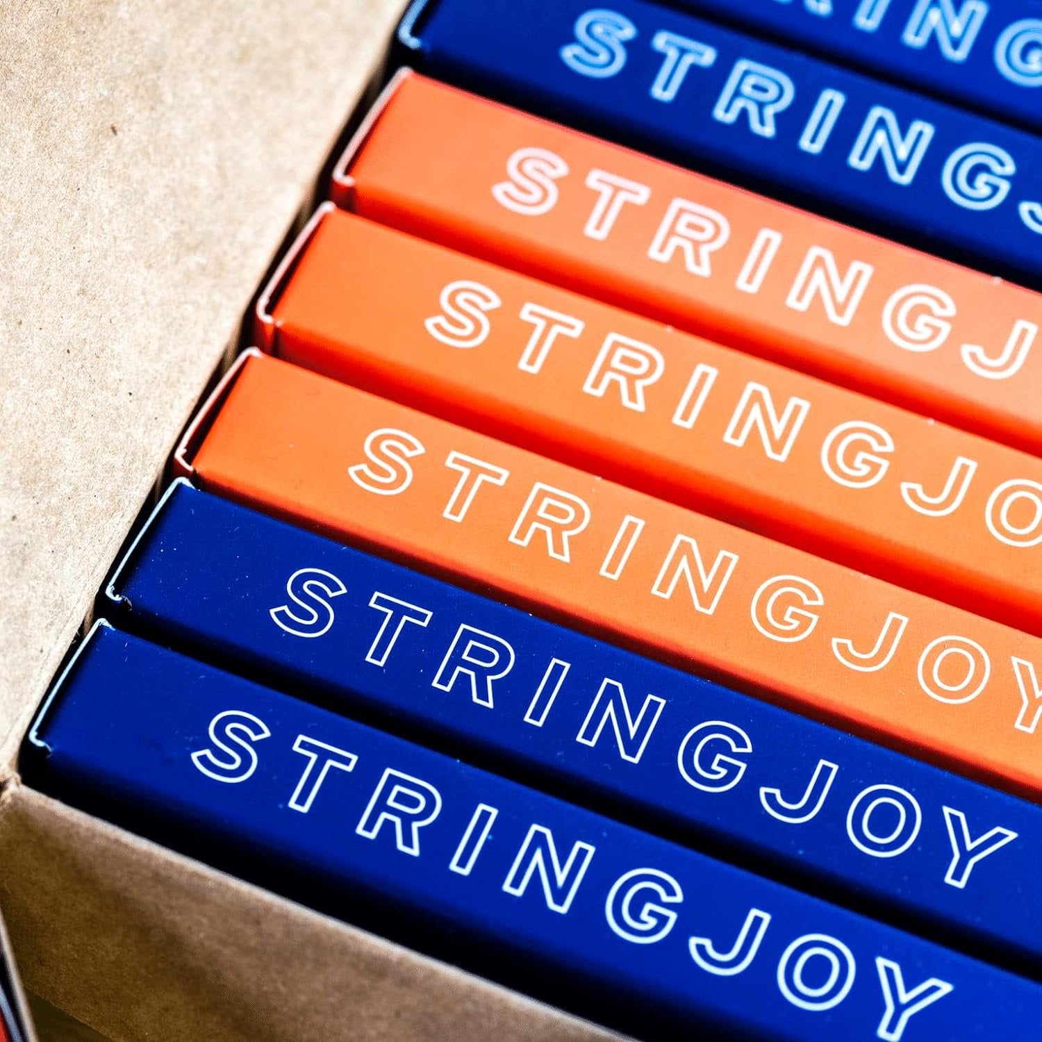 Stringjoy FW1254 Foxwoods Coated Phosphor Bronze Acoustic Guitar Strings, (Light Gauge - 12-54)