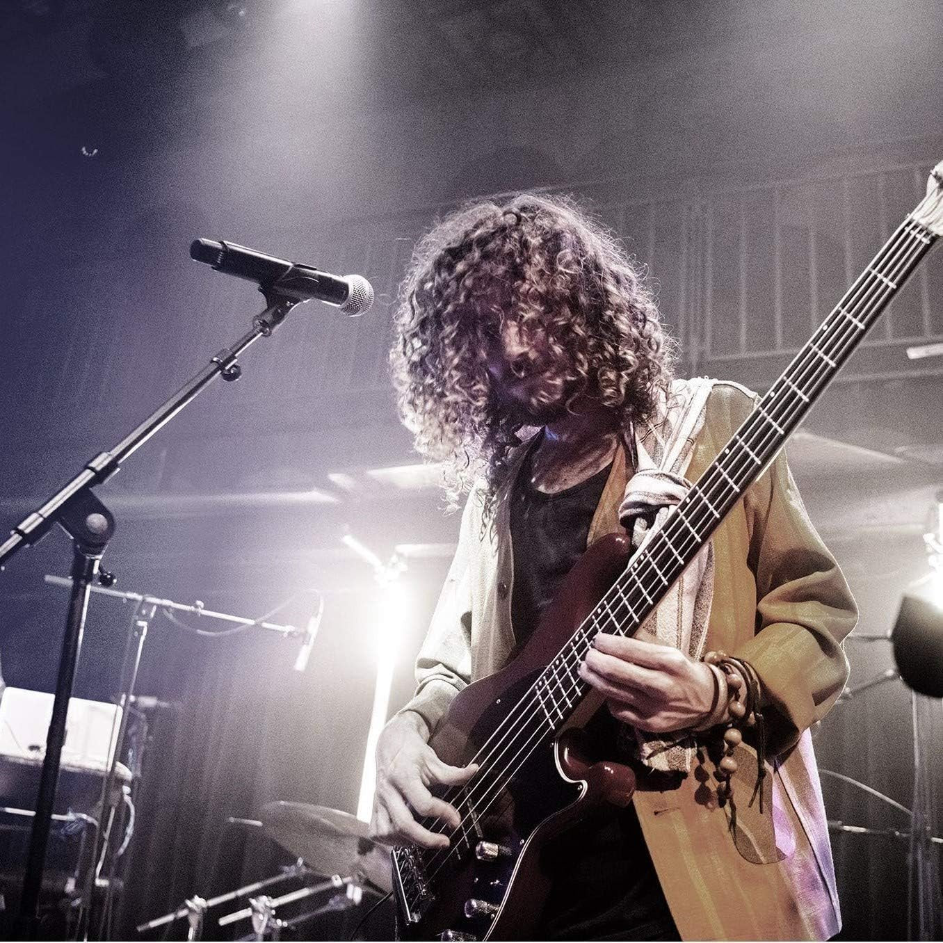 Shure SM58S Cardioid Dynamic Vocal Microphone with On/Off Switch